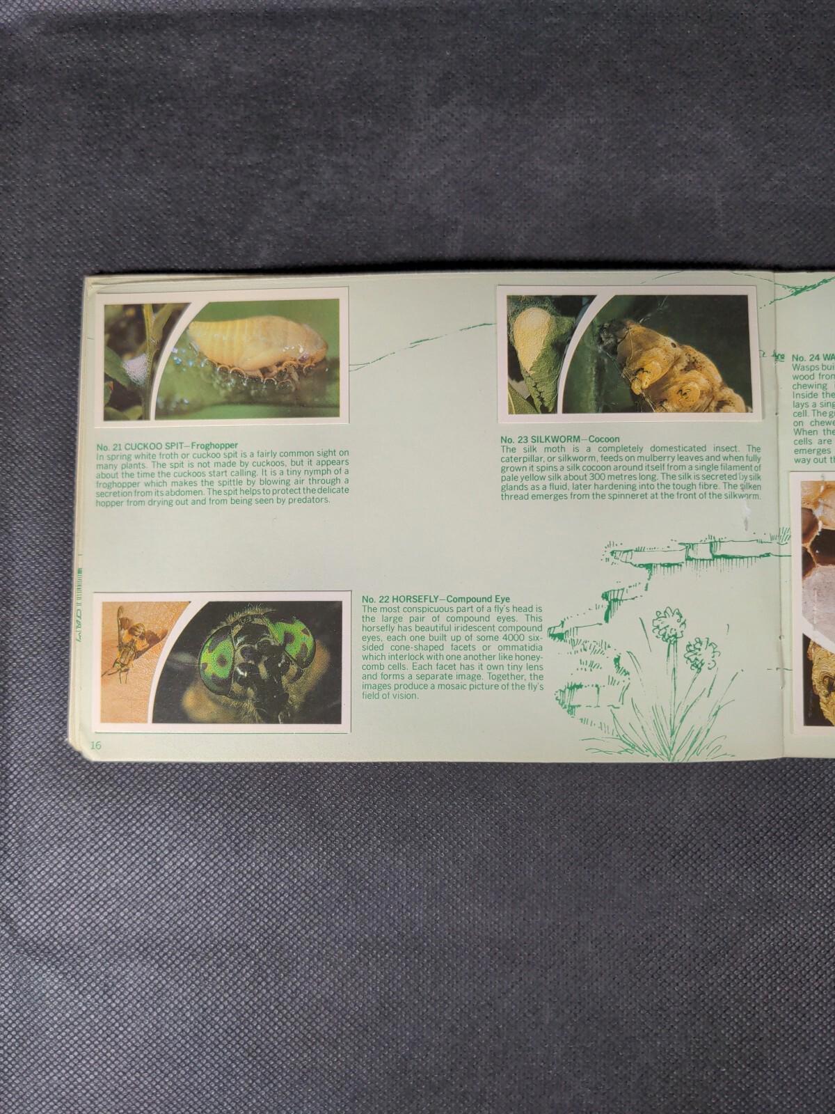 Brooke Bond Tea Cards: Small Wonders Album Complete With All Cards In The Set