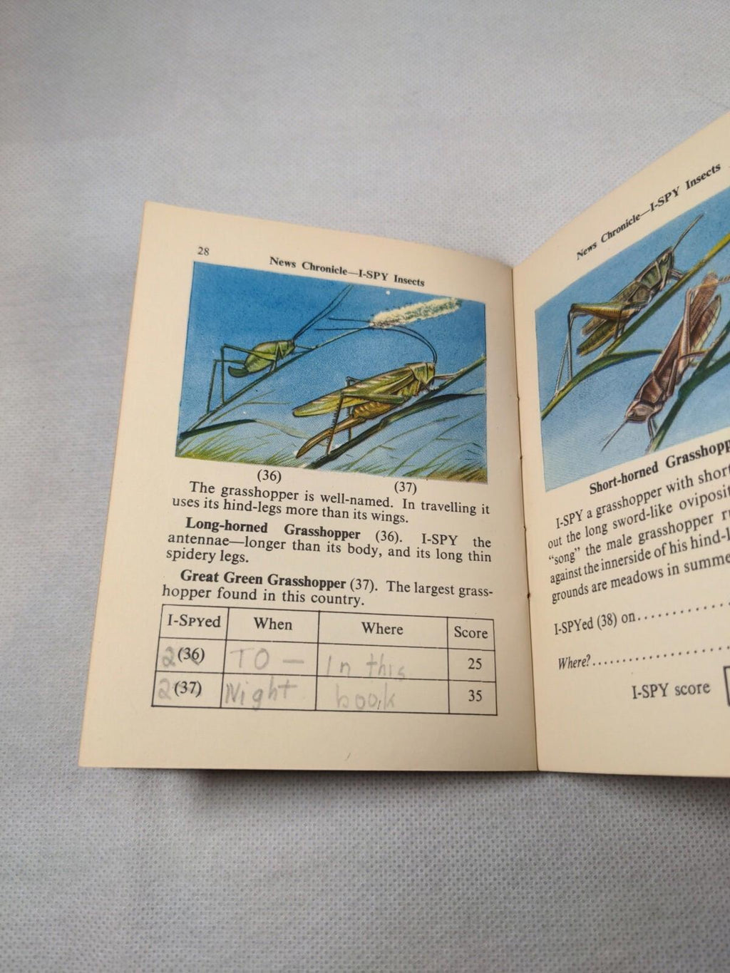 Vintage I-Spy News Chronicle Book Issue Insects - Retrorama UK