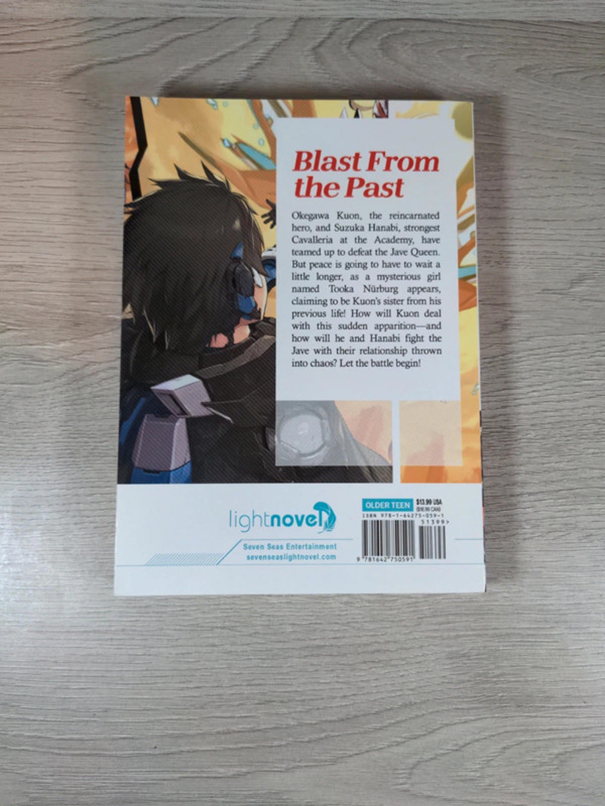 Division Maneuver Vol. 2 - Binary Hero by Shippo Senoo Paperback Novel 2019