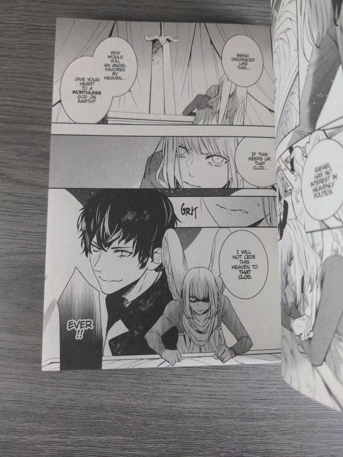 Devils and Realist Vol 13 Madoka Takadono Paperback Manga Book 2017