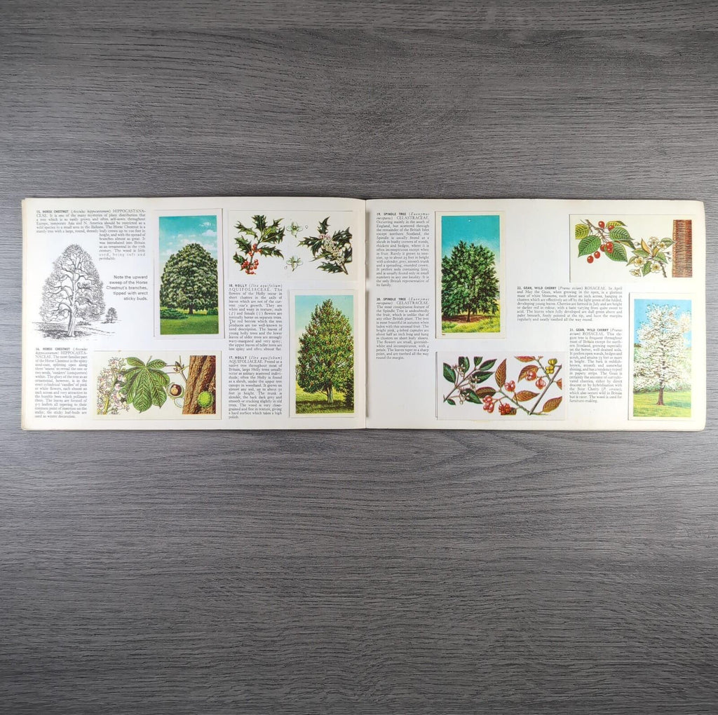 Brooke Bond Tea Picture Cards Album Trees In Britain Complete Set