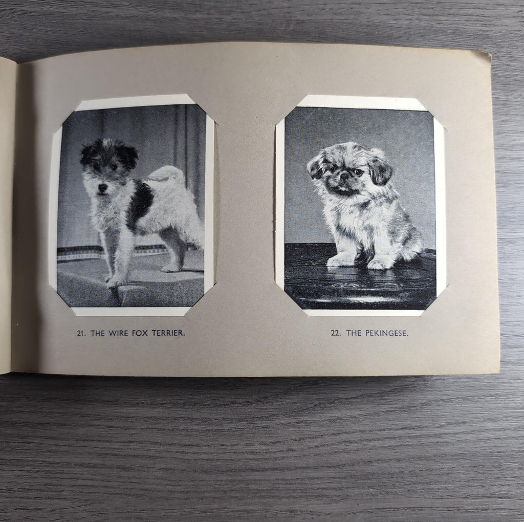 Good Dogs Trex J Bibby 1955 Full Set 25 Cards In Album Collectors Trading Cards