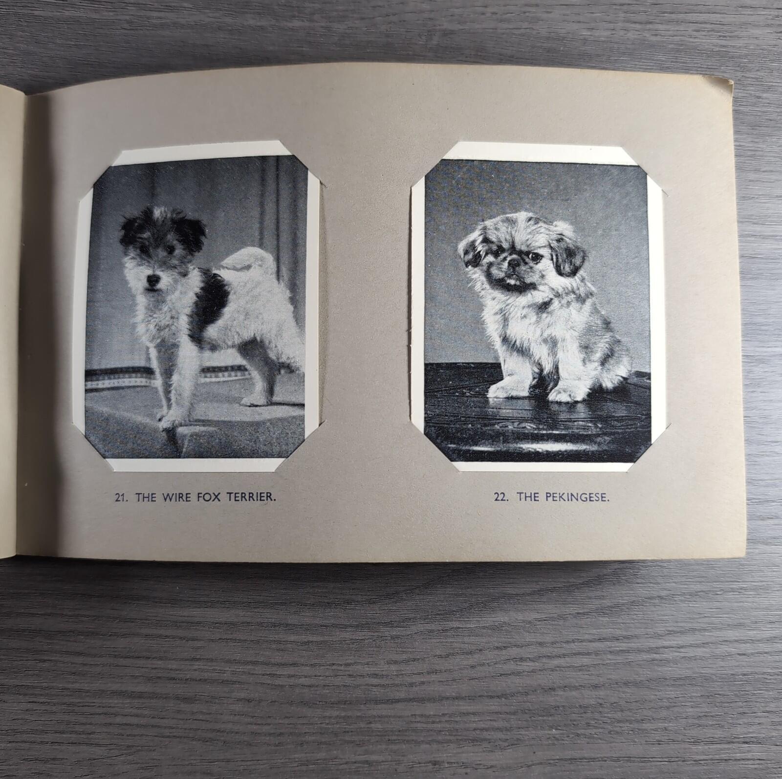Good Dogs Trex J Bibby 1955 Full Set 25 Cards In Album Collectors Trading Cards