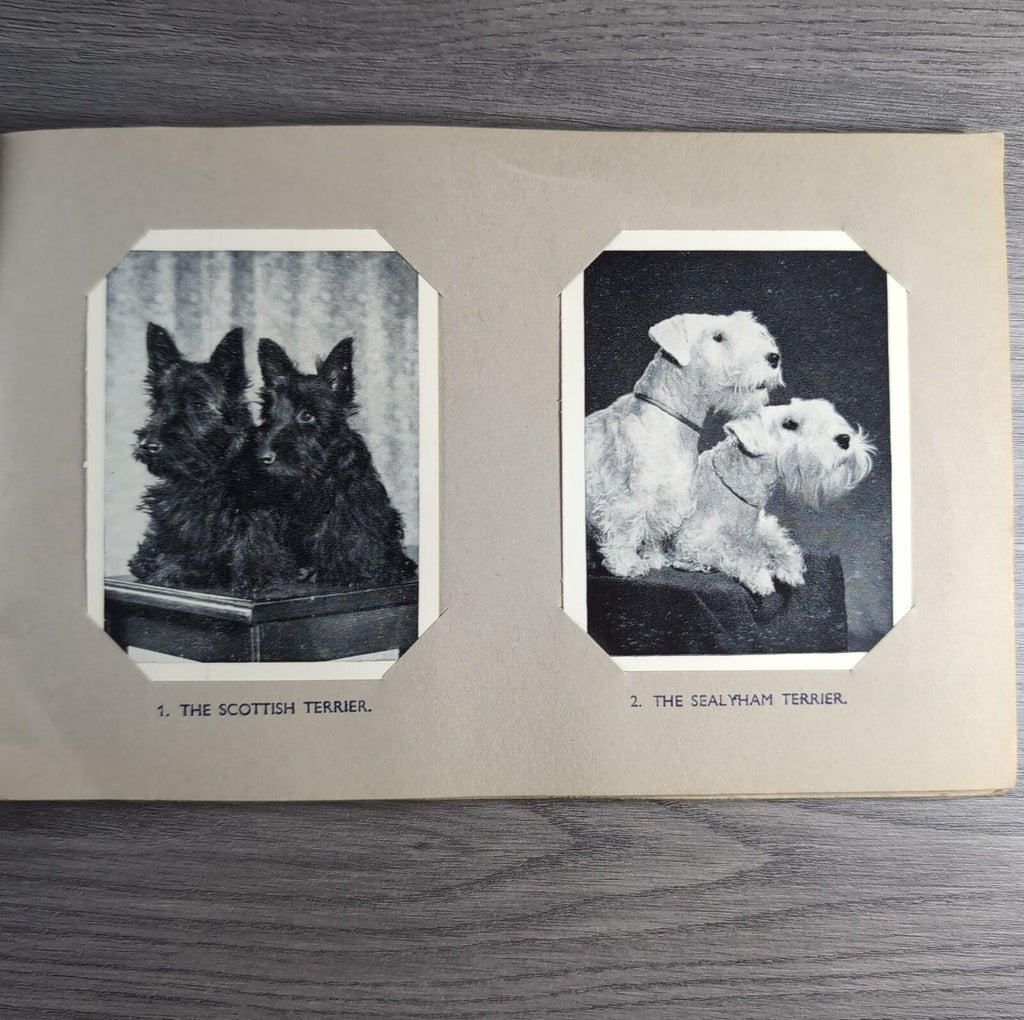 Good Dogs Trex J Bibby 1955 Full Set 25 Cards In Album Collectors Trading Cards