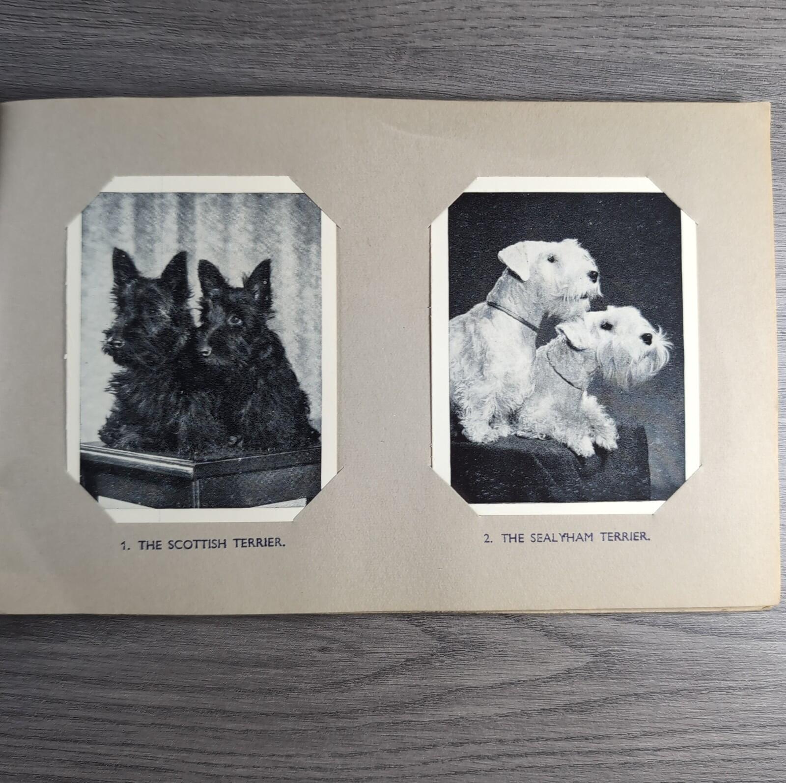 Good Dogs Trex J Bibby 1955 Full Set 25 Cards In Album Collectors Trading Cards