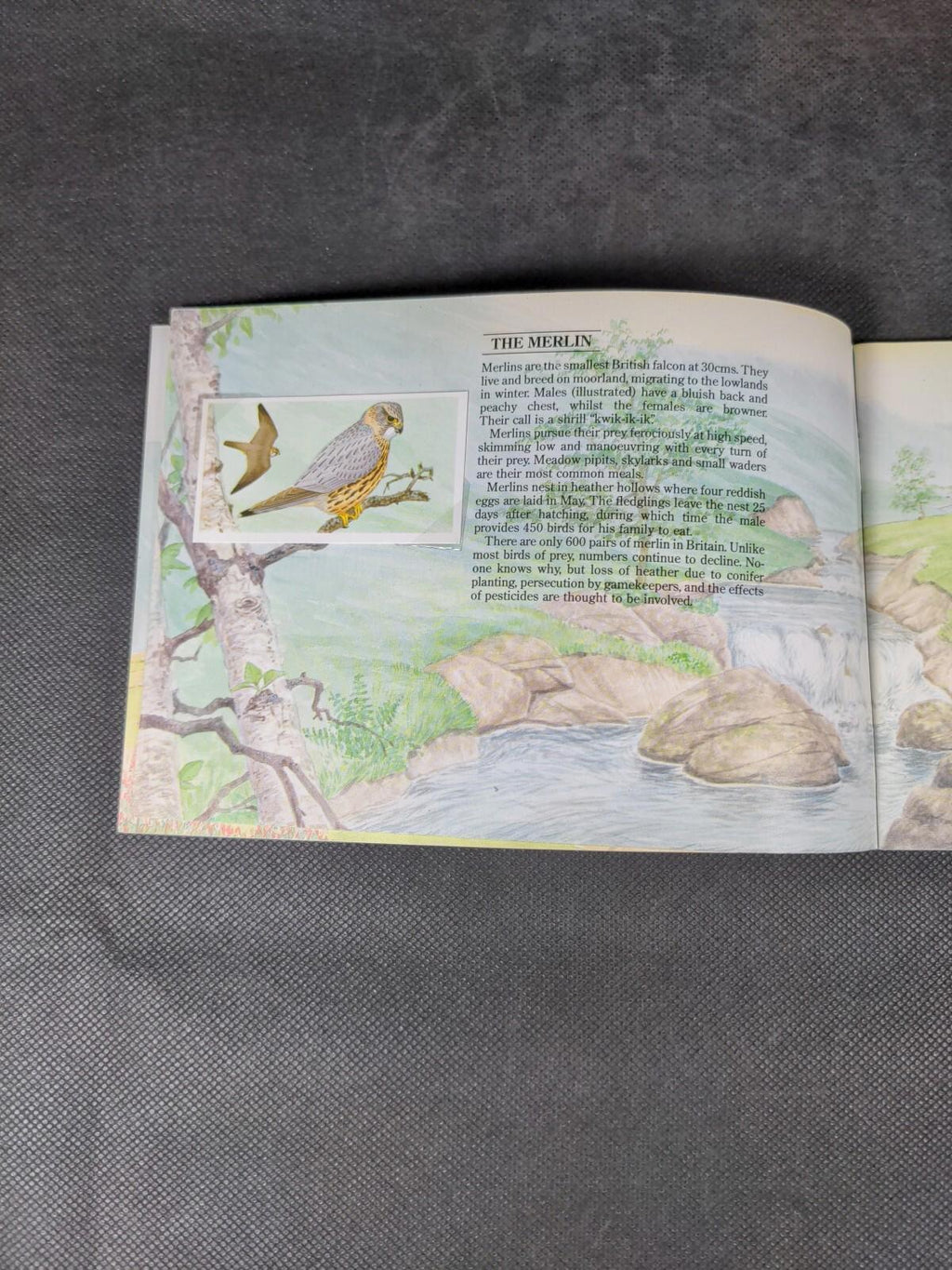 Brooke Bond Tea Cards: A Journey Downstream Album Complete All Cards In The Set