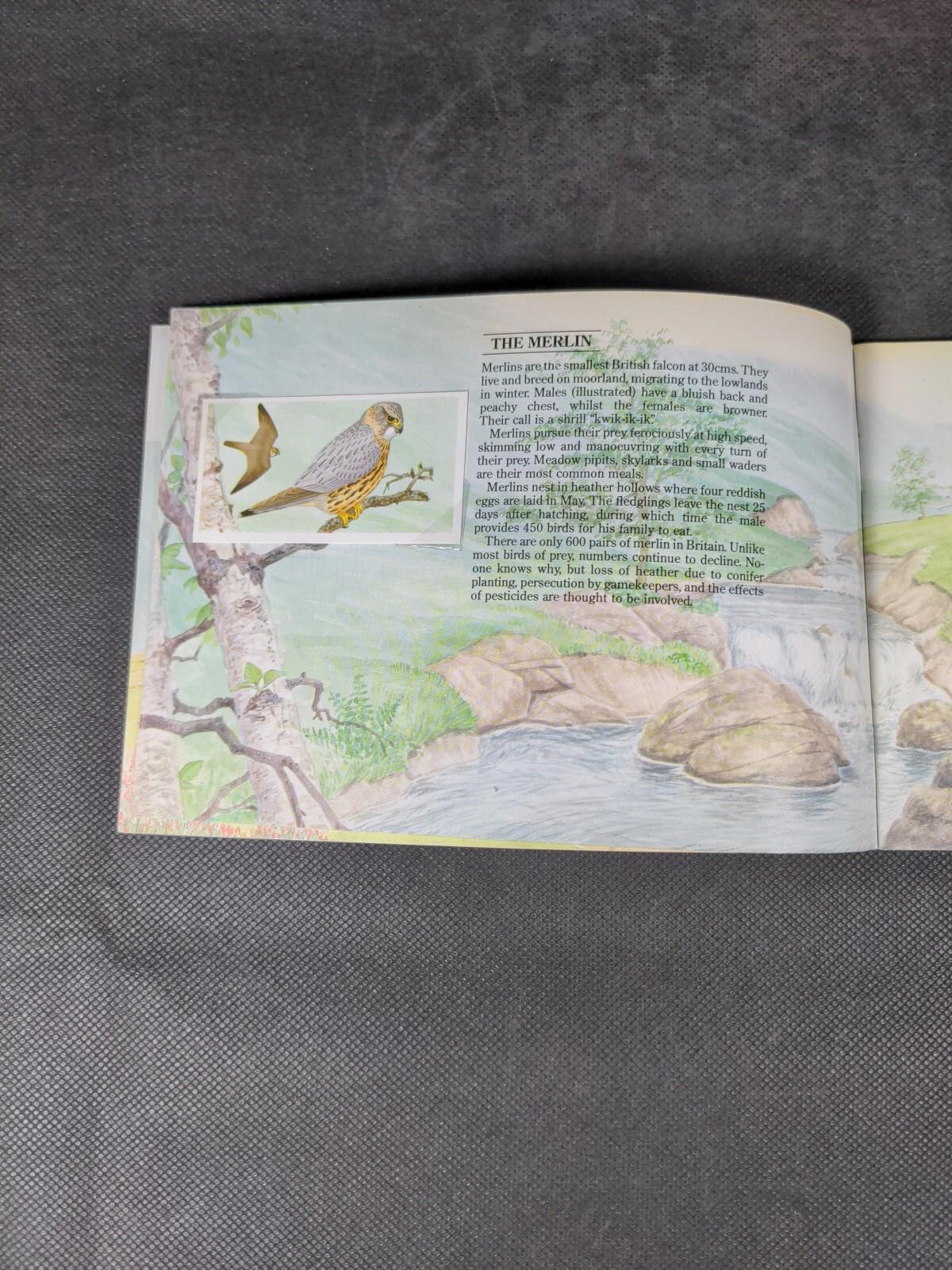Brooke Bond Tea Cards: A Journey Downstream Album Complete All Cards In The Set