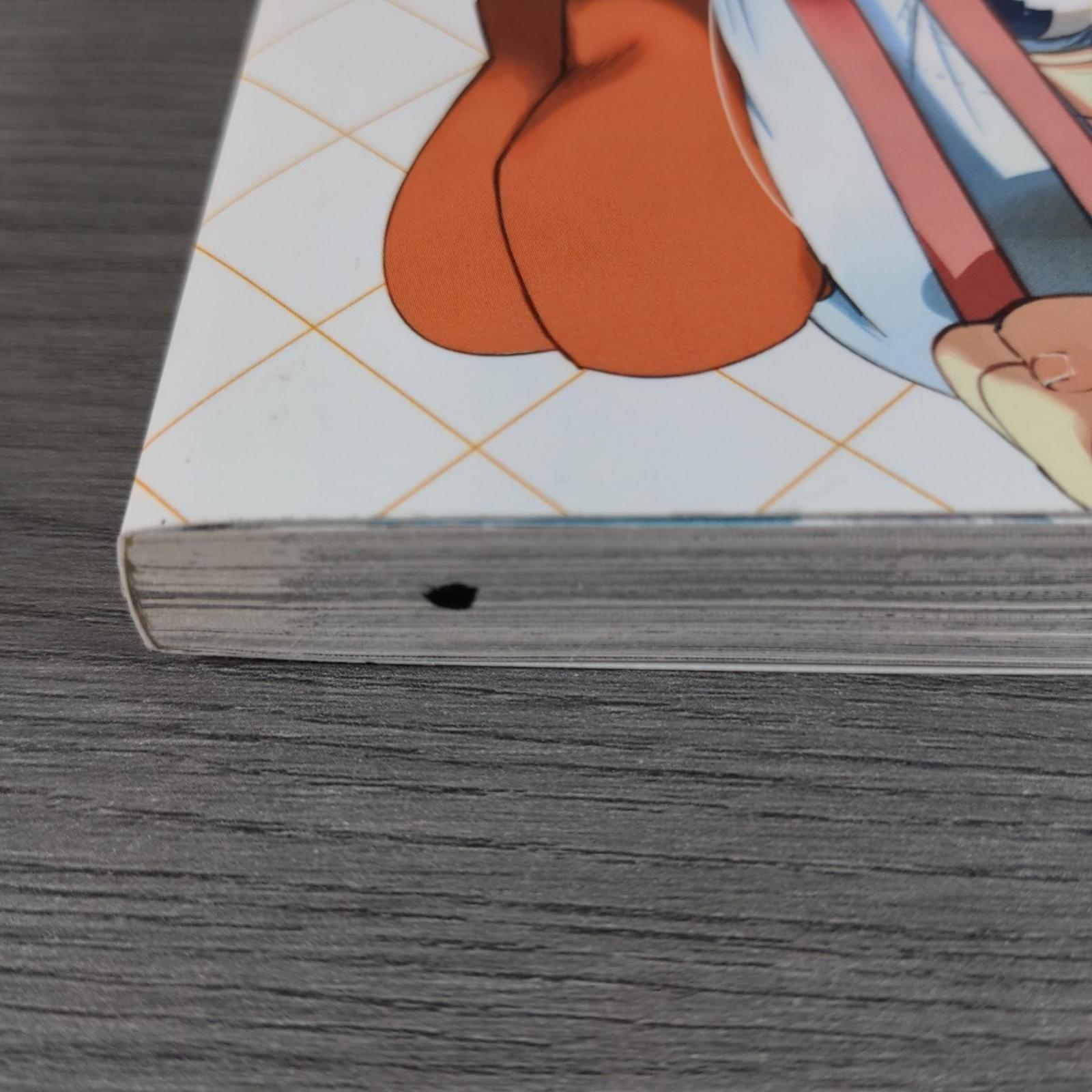 If It's for My Daughter, I'd Even Defeat a Demon Lord Vol 3 Manga Paperback Book