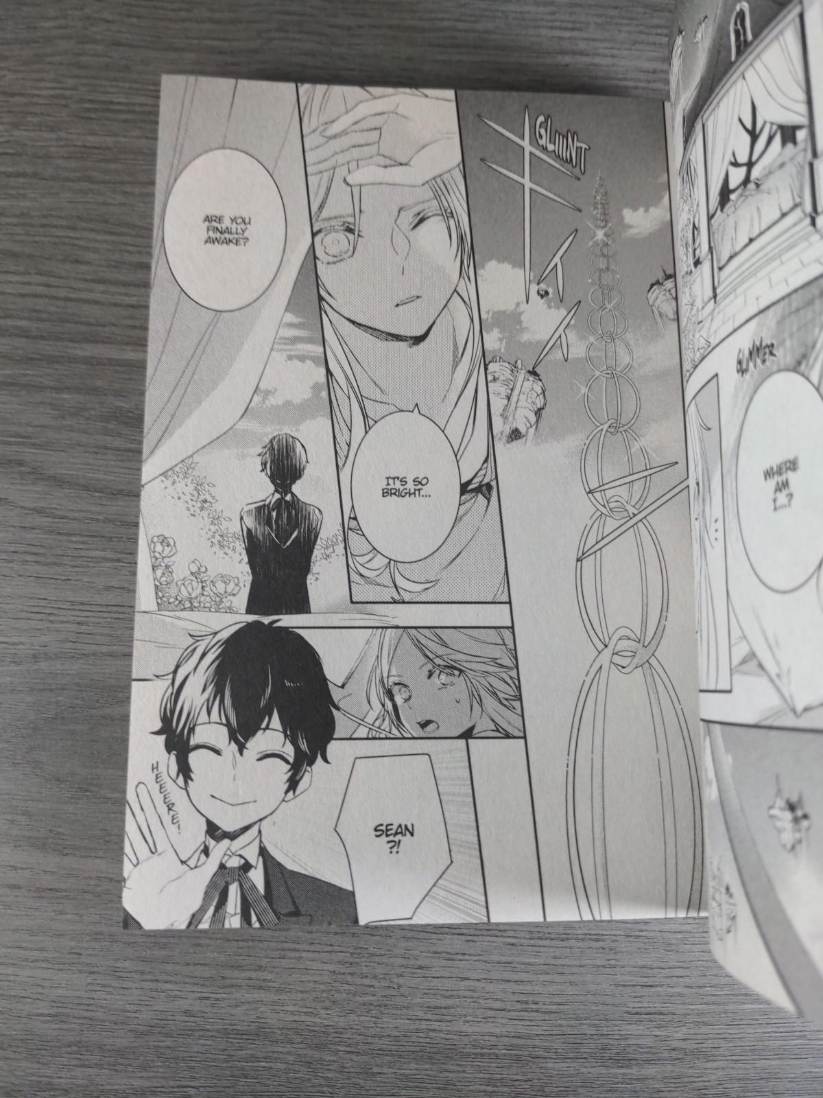 Devils and Realist Vol 13 Madoka Takadono Paperback Manga Book 2017