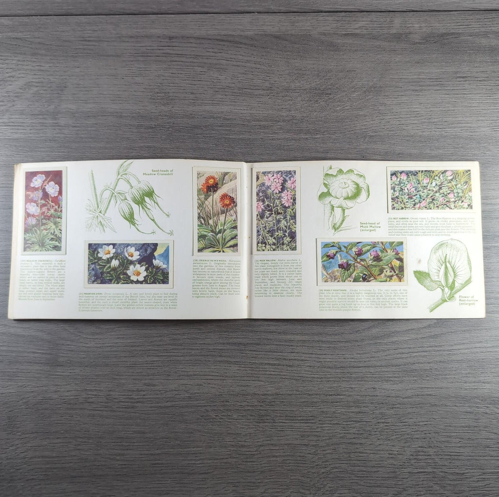 Brooke Bond Tea Picture Cards Album Wild Flowers Complete Set