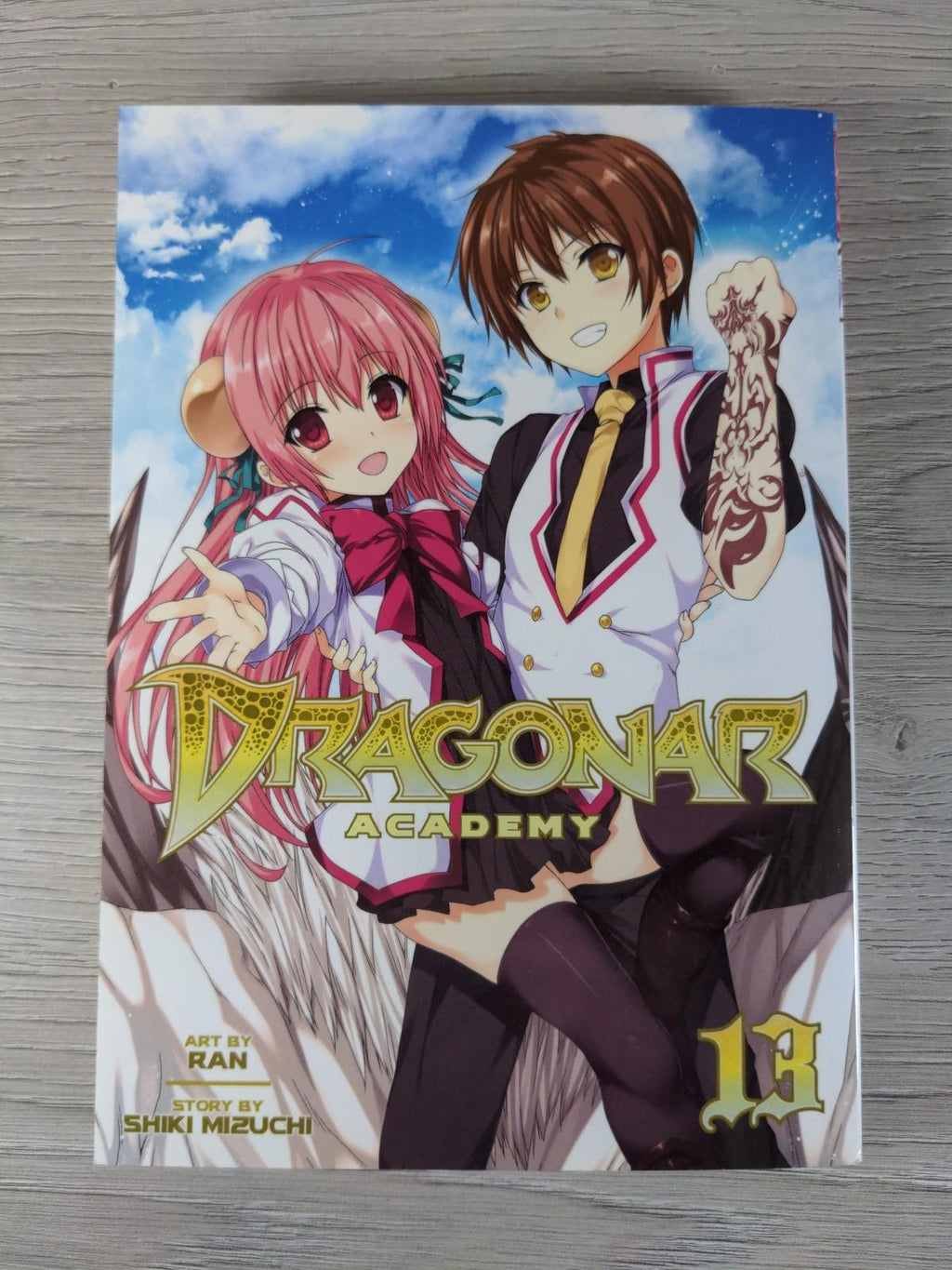 Dragonar Academy Vol 13 Shiki Mizuch Manga Graphic Novel Paperback Book - Retrorama UK